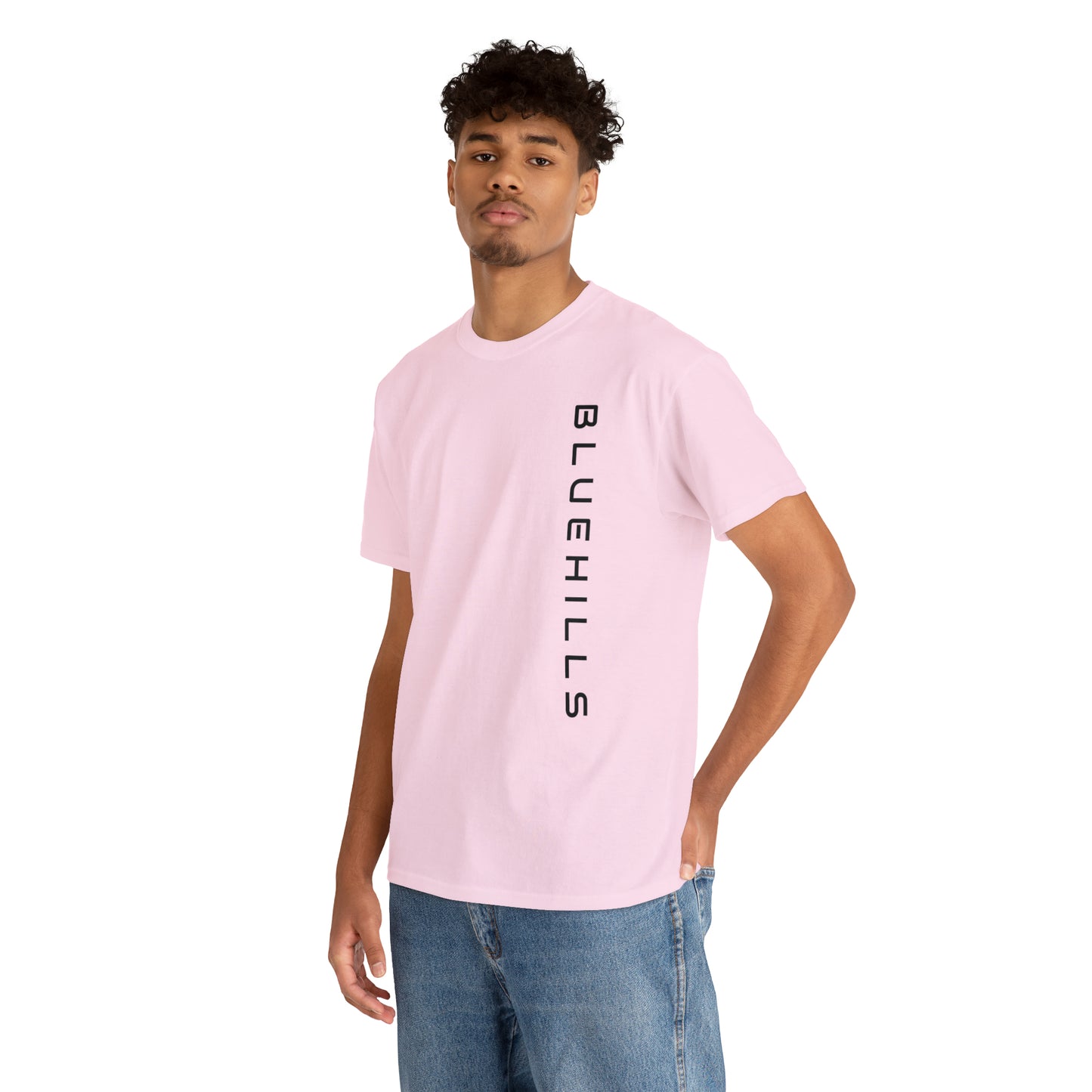 BlueHills Moauntain Graphic Tee