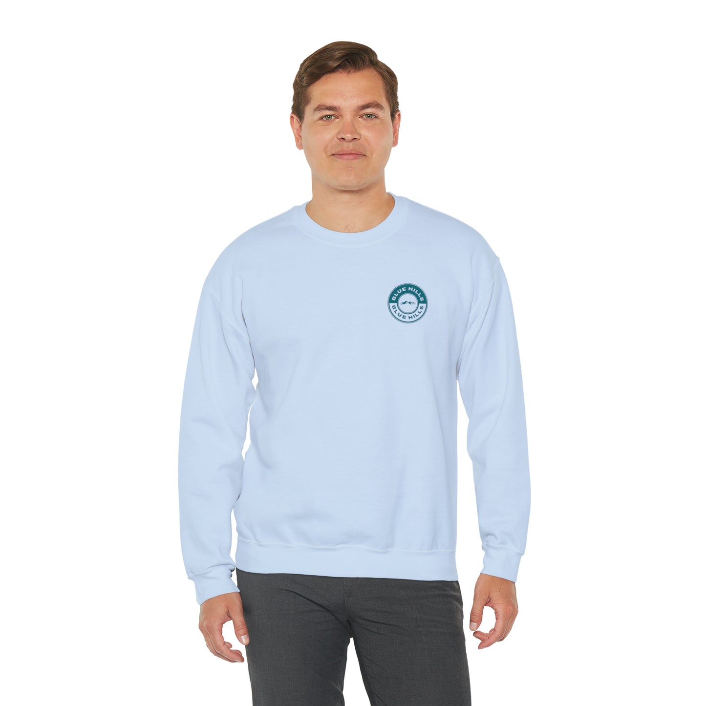 BlueHills Unisex Heavy Blend™ Crewneck Sweatshirt