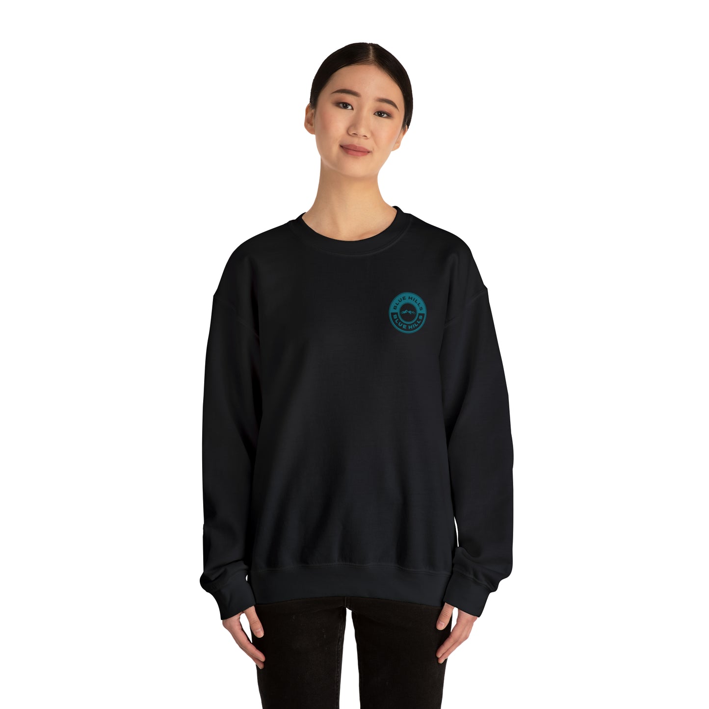 BlueHills Unisex Heavy Blend™ Crewneck Sweatshirt