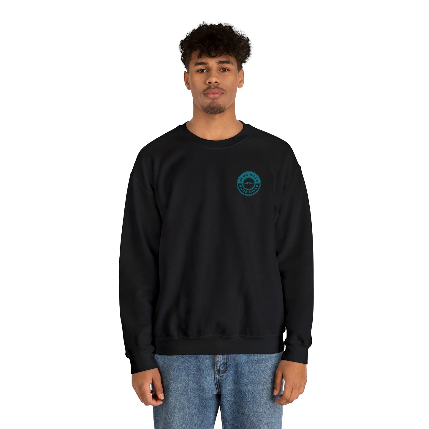 BlueHills Unisex Heavy Blend™ Crewneck Sweatshirt