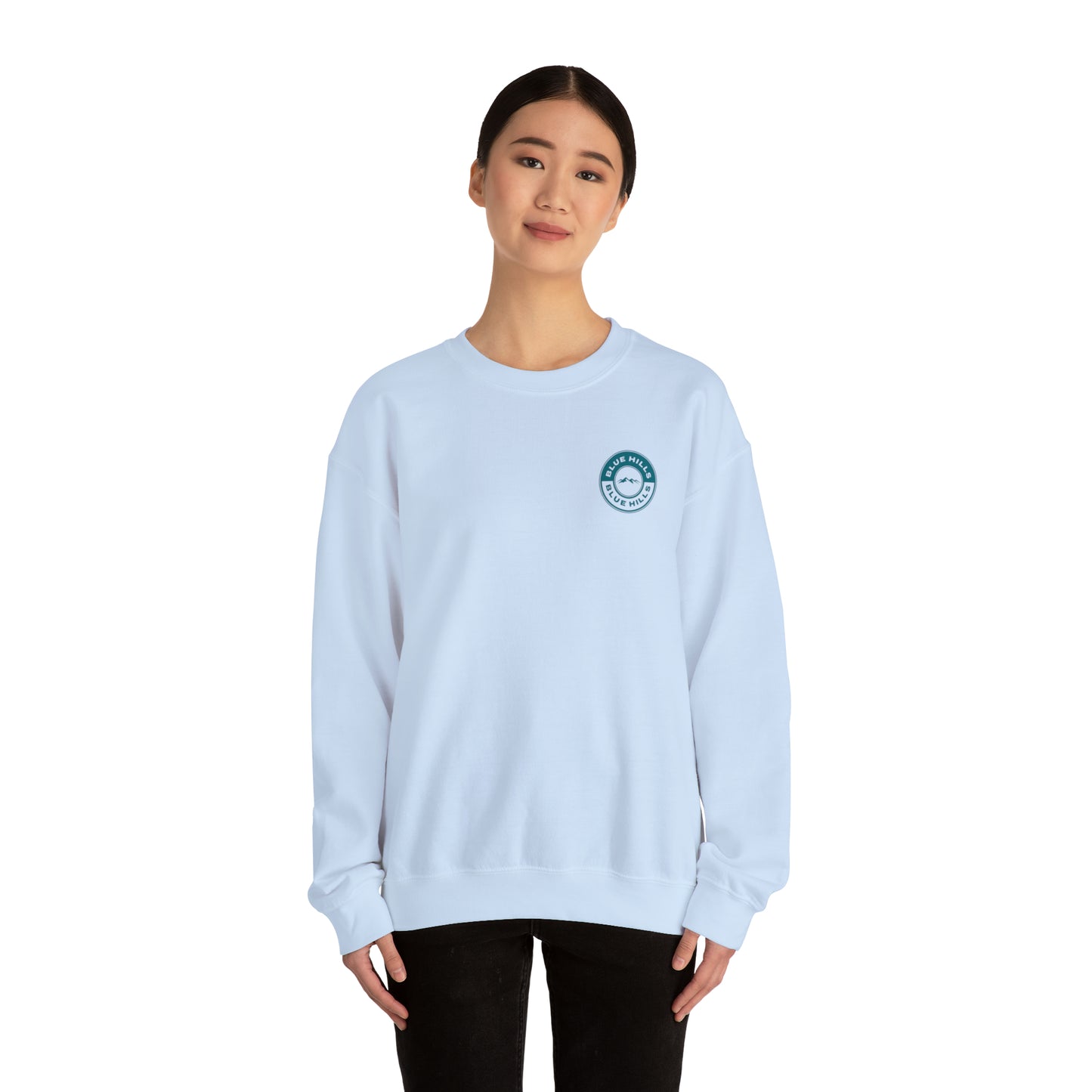 BlueHills Unisex Heavy Blend™ Crewneck Sweatshirt