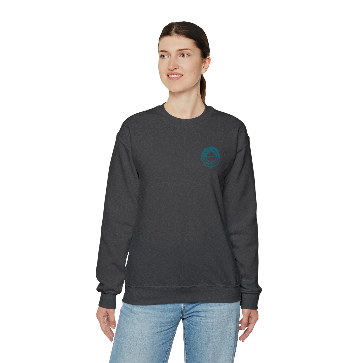 BlueHills Unisex Heavy Blend™ Crewneck Sweatshirt