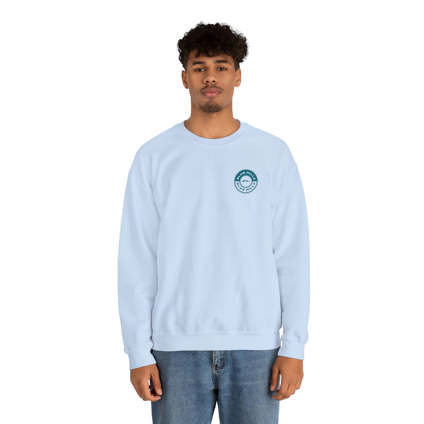 BlueHills Unisex Heavy Blend™ Crewneck Sweatshirt