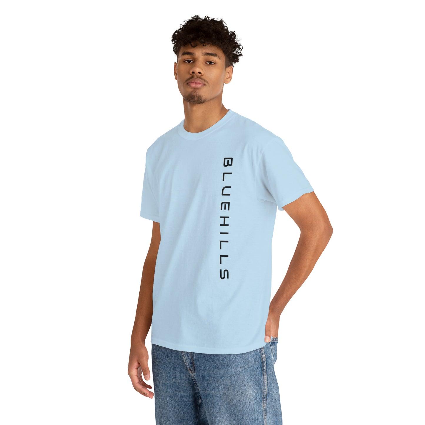 BlueHills Moauntain Graphic Tee