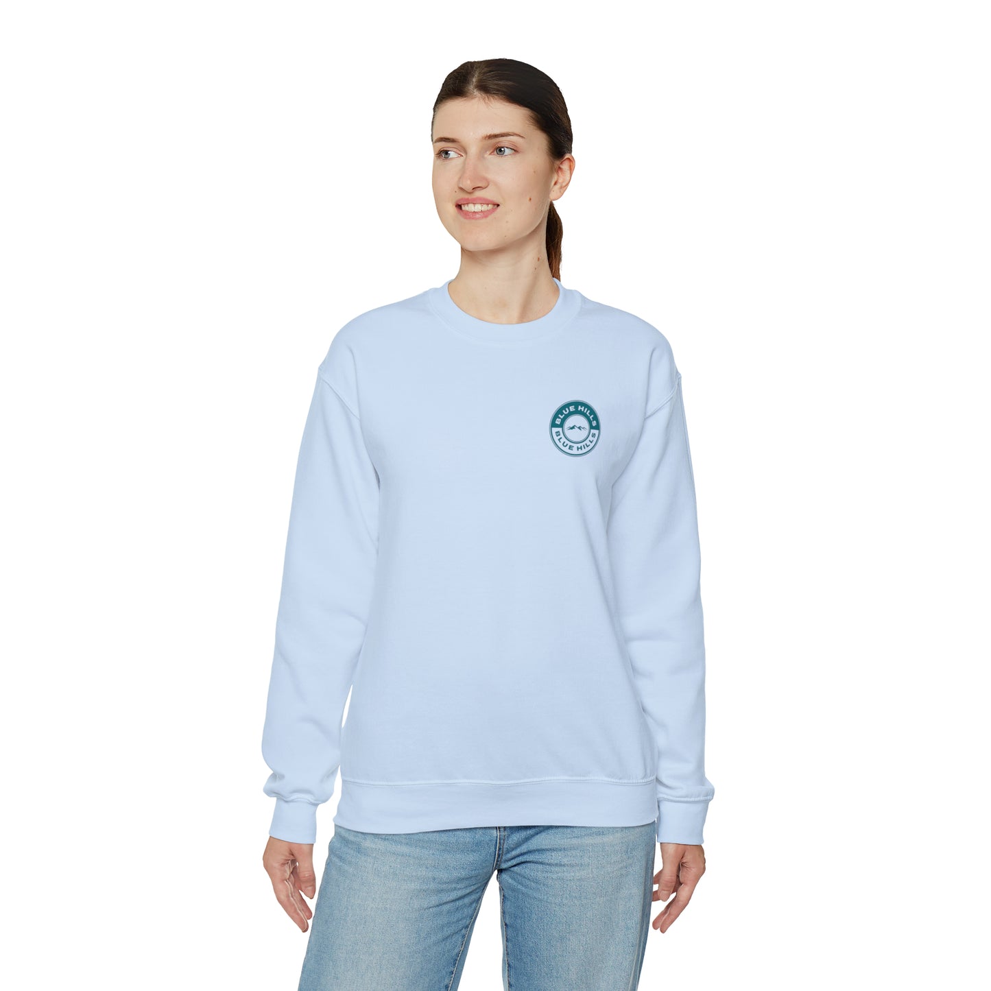 BlueHills Unisex Heavy Blend™ Crewneck Sweatshirt